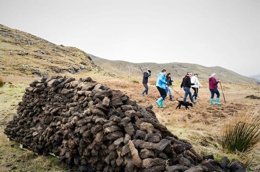 Sheepdog herding demo on working sheep farm. Galway. Guided. - Sheep Shearing: Summer’s Special Event