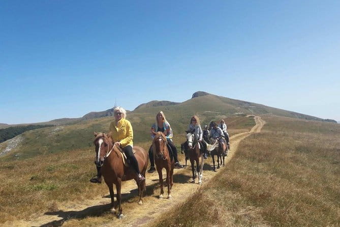 Short Horseback riding - Kolasin - Exploring the Montenegrin Countryside on Horseback