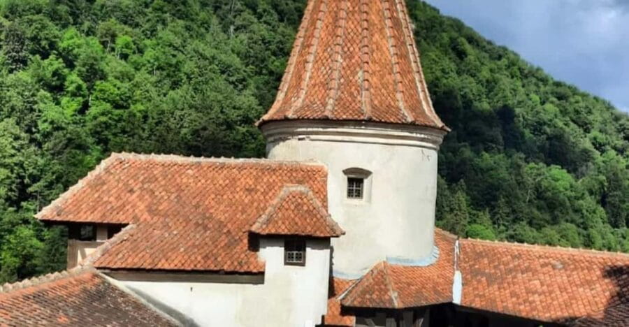 Sibiu: Dracula's Castle and Dino Park Day Trip - Traversing the Transylvanian Landscape
