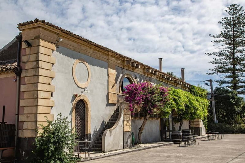 Sicilian Soul: Winery Tour, Wine & Food Tasting in Catania - Who This Tour Is Best For