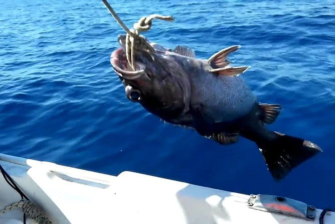 "Side Half-Day Fishing Adventure: Transfer Included!" - Pricing and Value for Money