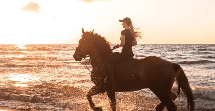 Side: Horseback Riding Tour in Nature with Transfer - What To Expect: A Step-by-Step Breakdown