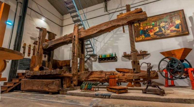 Sidra Vda. de Angelón: guided visit to a cider mill with tasting - Who Should Consider This Tour?