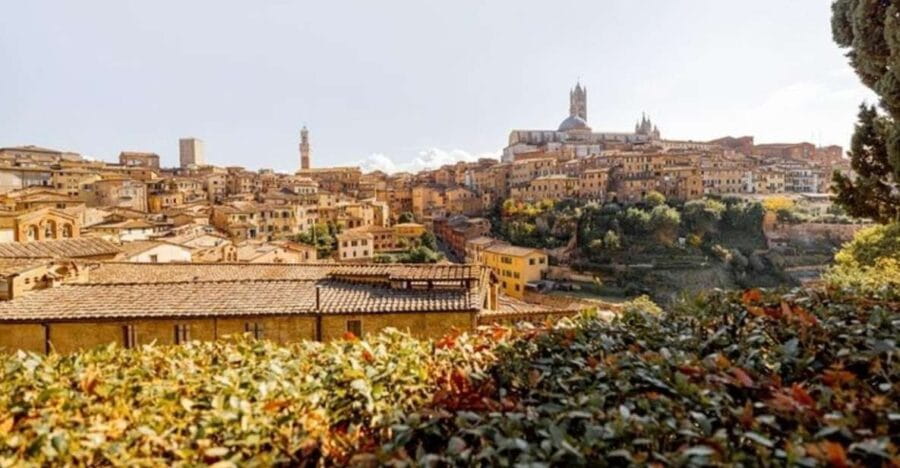 Siena : Highlights Private Walking tour - The Itinerary Breakdown in Detail