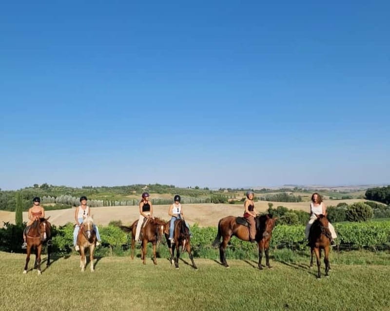 Siena: Horseback Riding Tour in the Tuscany Countryside - What to Expect: An Authentic Taste of Tuscany