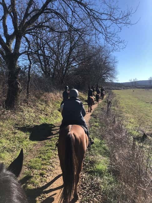 Siena: Horseback Tour on the Via Francigena - Exploring the Via Francigena and the Montagnola Senese