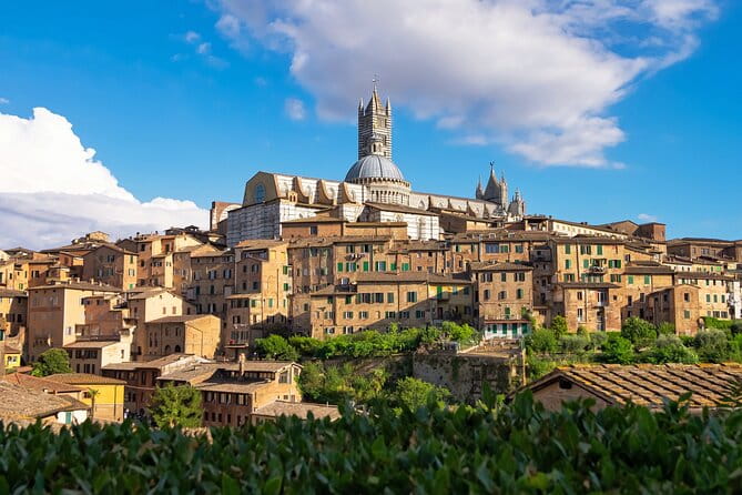Siena Like a Local: Customized Private Tour - In-Depth Breakdown of the Siena Like a Local Tour
