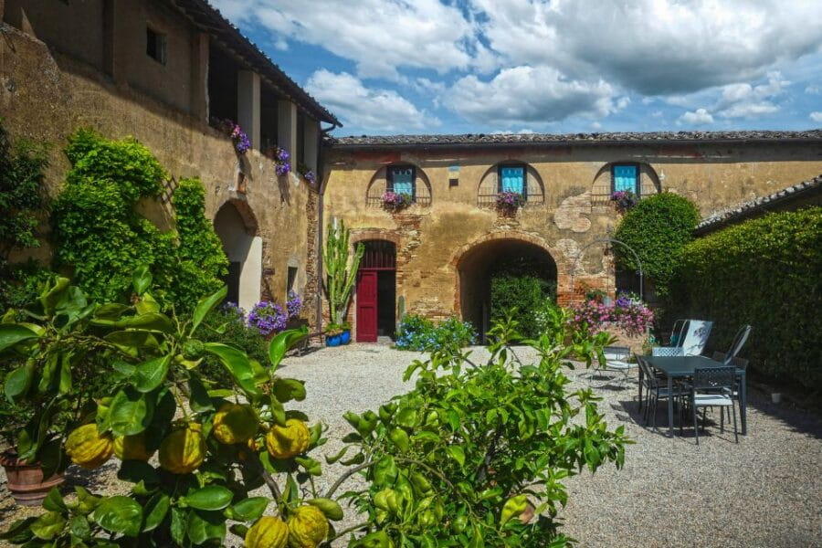 Siena: Organic Winery Tour and Wine Tasting - Visiting the Cellar and Discovering Winemaking Secrets