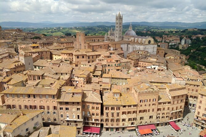 Siena private guided tour for families - Practical Considerations and Value