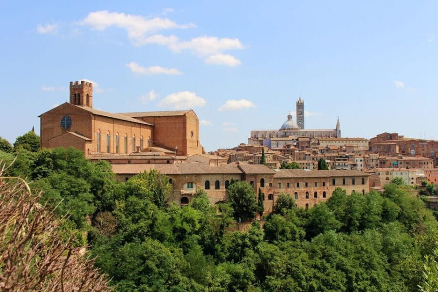 Siena - Private Historic Walking Tour - Who This Tour Is Perfect For