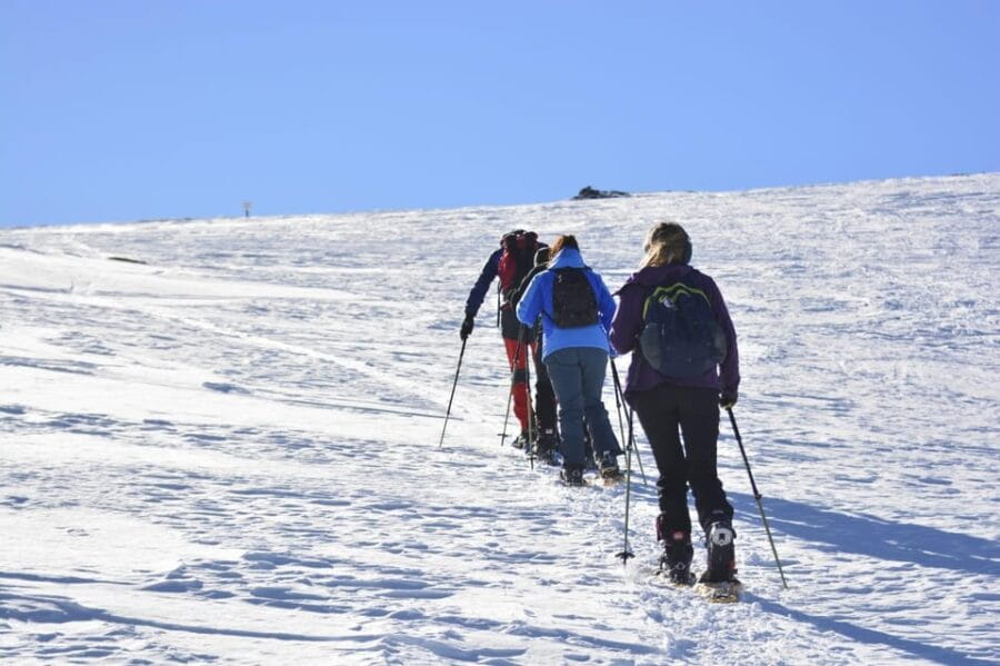 Sierra Nevada: snow tour at 3,000m of altitude - Key points / Takeaways