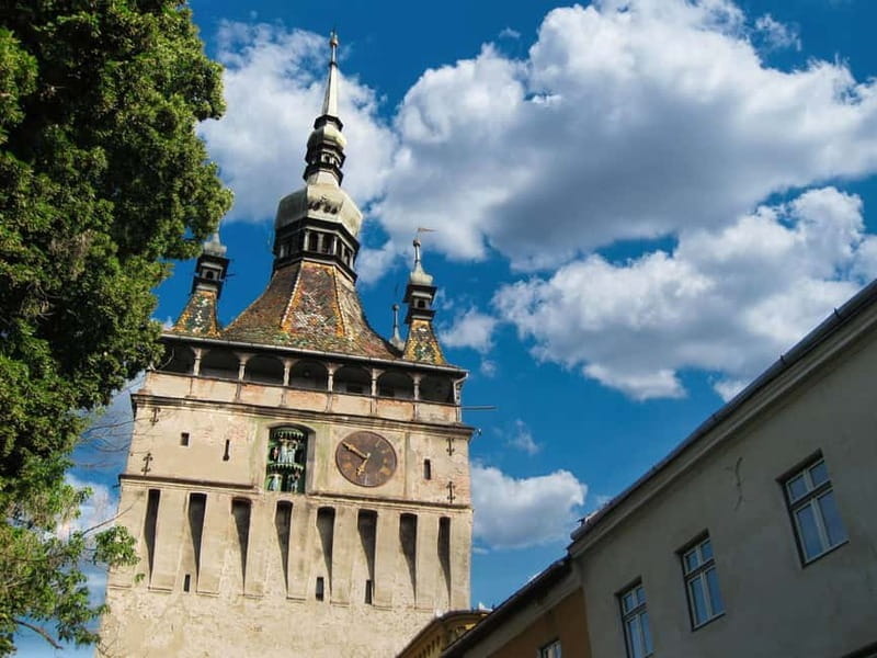Sighisoara & wine tasting (from Cluj) - Scenic Drive Through the Heart of Transylvania’s Vineyards