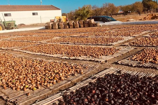 Silves: The Medieval Charm of the Algarve - FAQ: Your Silves Tour Questions Answered