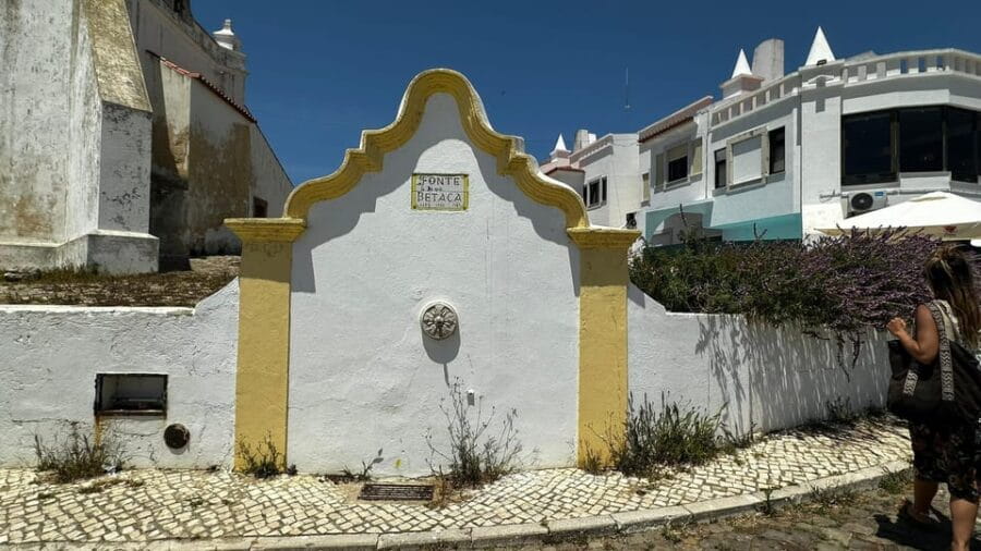 Sines and Porto Covo: discover Costa Vicentina with a local - Practical Considerations and Tips