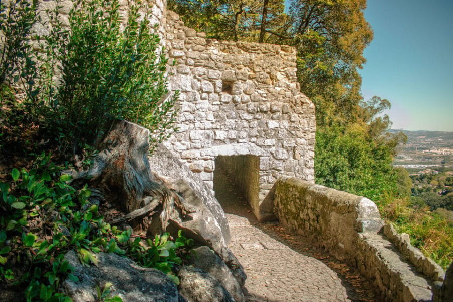 Sintra: Moorish Castle Guided Tour With Entry Ticket - Price and Logistics: A Fair Investment