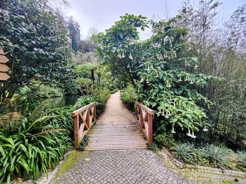 Sintra: Queluz Palace, Biester Palace, and Colares Winery - Value and Practical Considerations