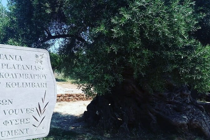 Sips of Crete: Flavors, Legends & Hidden Gems - Final Thoughts: Is It a Good Fit?