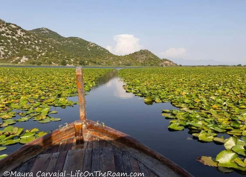 Skadar Lake Boat Tour with Transfer from Podgorica - Arriving at Rijeka Crnojevia: A Hidden Gem