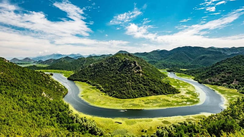 Skadar lake cruise with lunch - What Makes This Tour Stand Out?