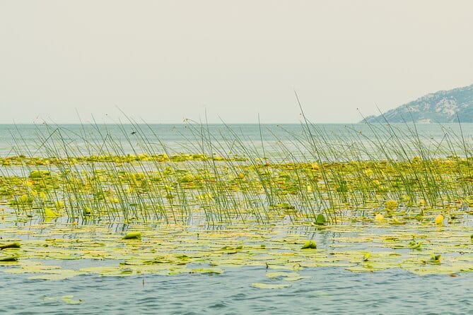 Skadar Lake Short Guided Tour: Discover the Montenegrin Alcatraz - Who This Tour Is Perfect For
