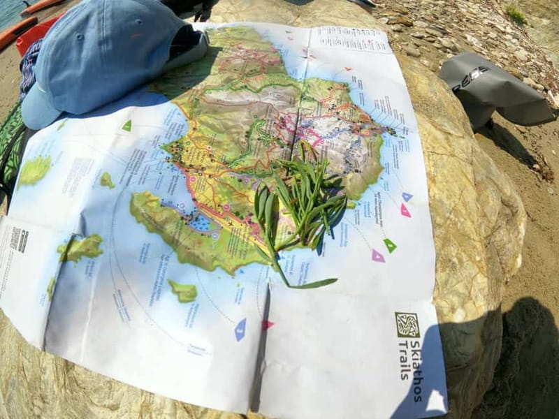 Skiathos: Guided Sea Kayaking Tour with Swim Stop - The Itinerary: What You Can Expect