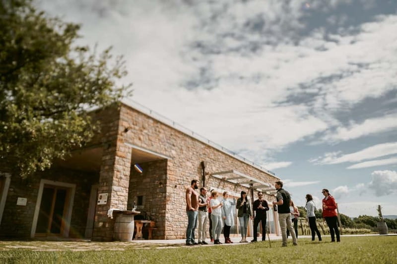 Slovenia Wine Tour in a Family-Owned Cellars - Tasting Award-Winning Wines Paired with Cold Cuts