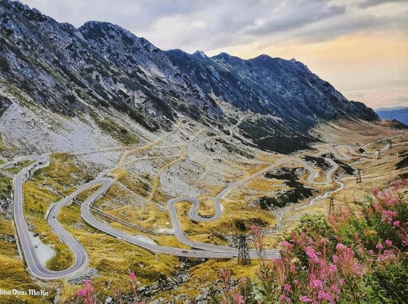 Small group - max 7 pax -Wild Bears Safari on Transfgran - Transport and Group Dynamics