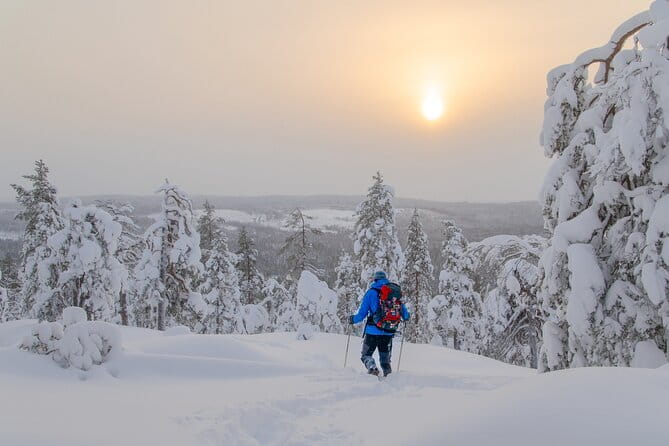 Small-Group Snowshoeing Adventure In Lapland - How to Make the Most of Your Snowshoeing Experience