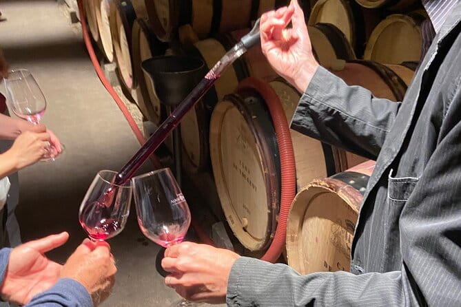 Small Group Wine Tasting Tour Côte de Beaune and Côte de Nuits - What You Can Expect From the Tour