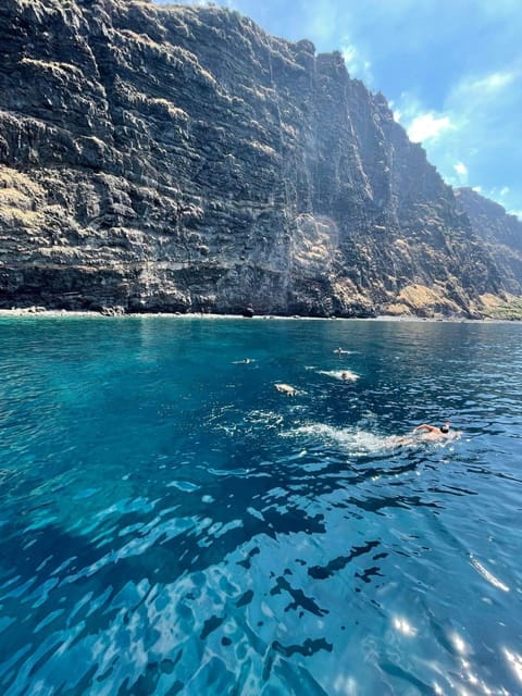 Snorkeling & Lunch in Nature Reserve Garajau - Garajau Underwater Nature Reserve: The Heart of the Experience