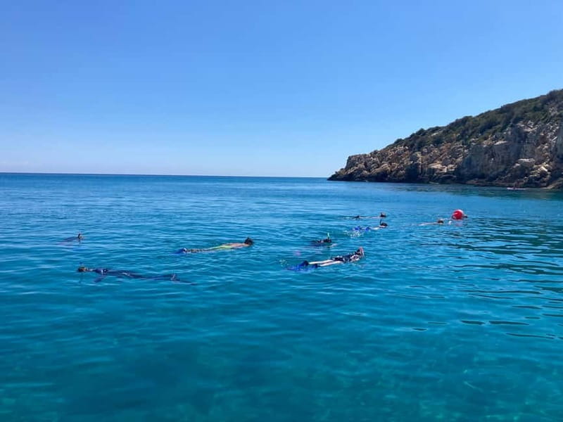 SNORKELING TRIP - Price and Logistics: Is It Worth It?