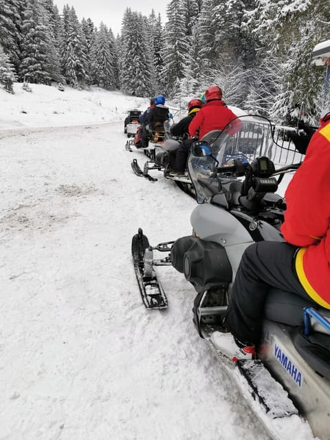 Snowmobile, ATV or Buggy Tour from Bucharest - Snowmobile Ride: A True Winter Thrill (December to March)