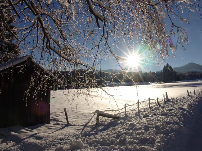 Snowshoe hike in the Allgäu - Price and Value: Is It Worth It?