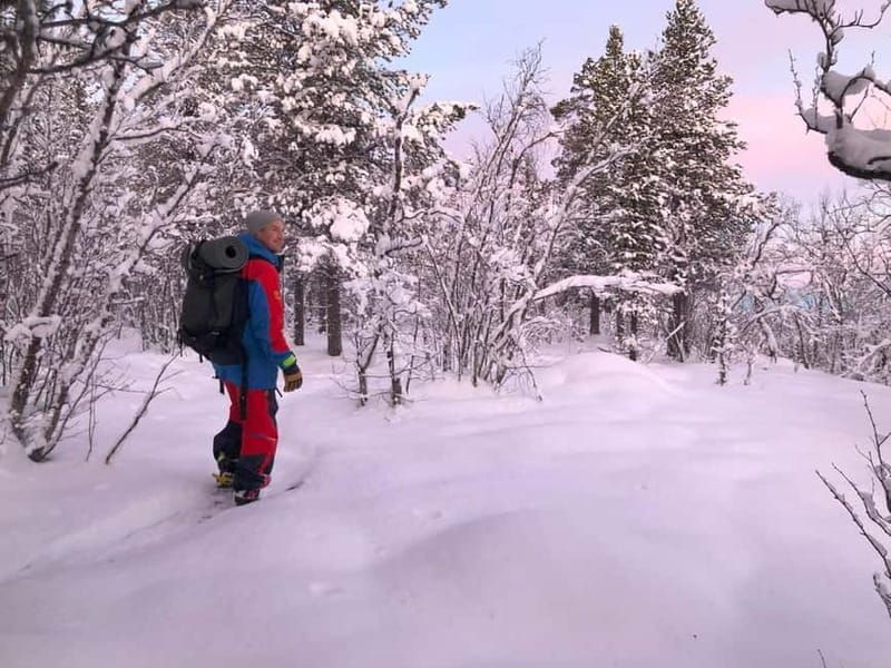 Snowshoe in a Winter Forest - What You’ll See and Learn on the Trail