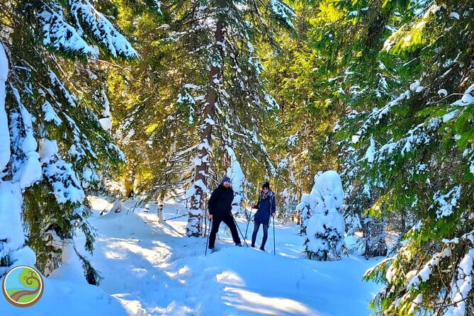 Snowshoeing Fun Tour from Cluj Napoca - The Guide and Cultural Insights