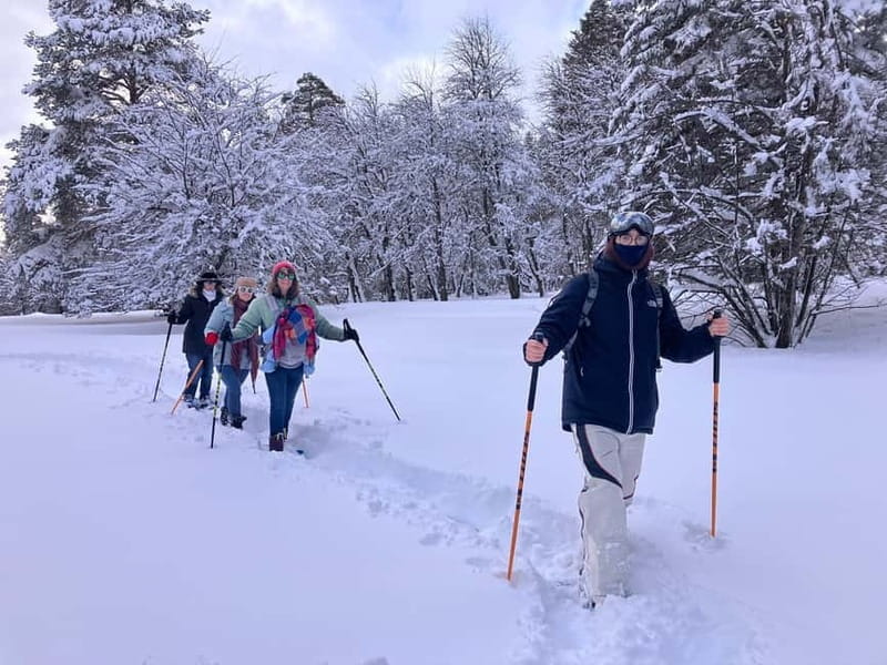 Snowshoeing in Bakuriani, Caucasus Mountains - Who Will Love This Tour?