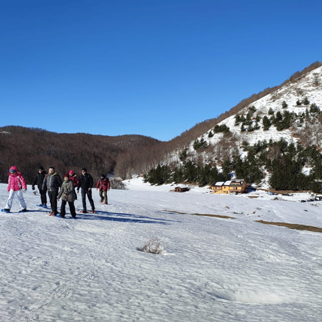 Snowshoeing in the Pollino National Park - Who Will Love This Experience?