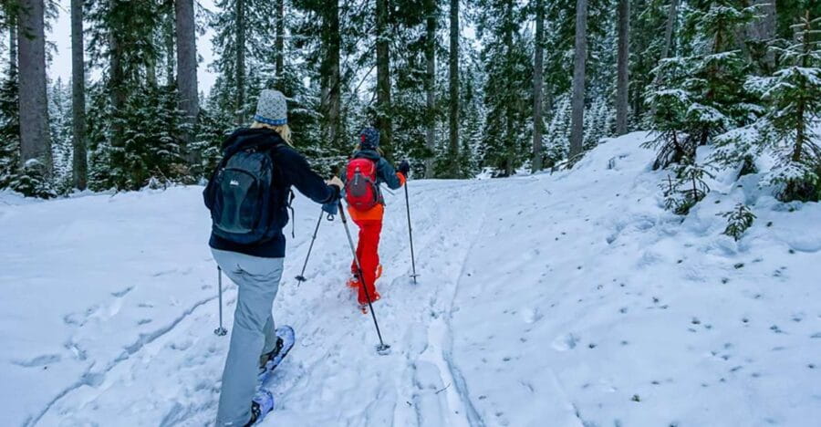 Snowshoeing in Triglav National Park - What to Expect on the Day