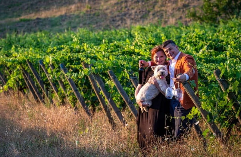 Soiana: Vineyard & Cellar Tour with Wine Tasting near Pisa - Inside the Cellar: From Grape to Glass