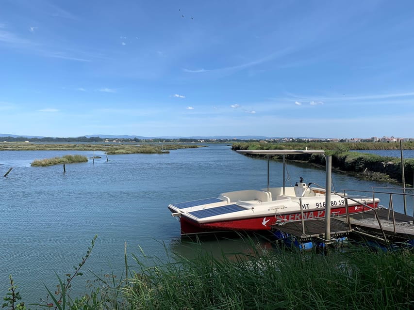 Solar Boat Tour along the Salgado da Ria de Aveiro - Exploring the Itinerary in Detail