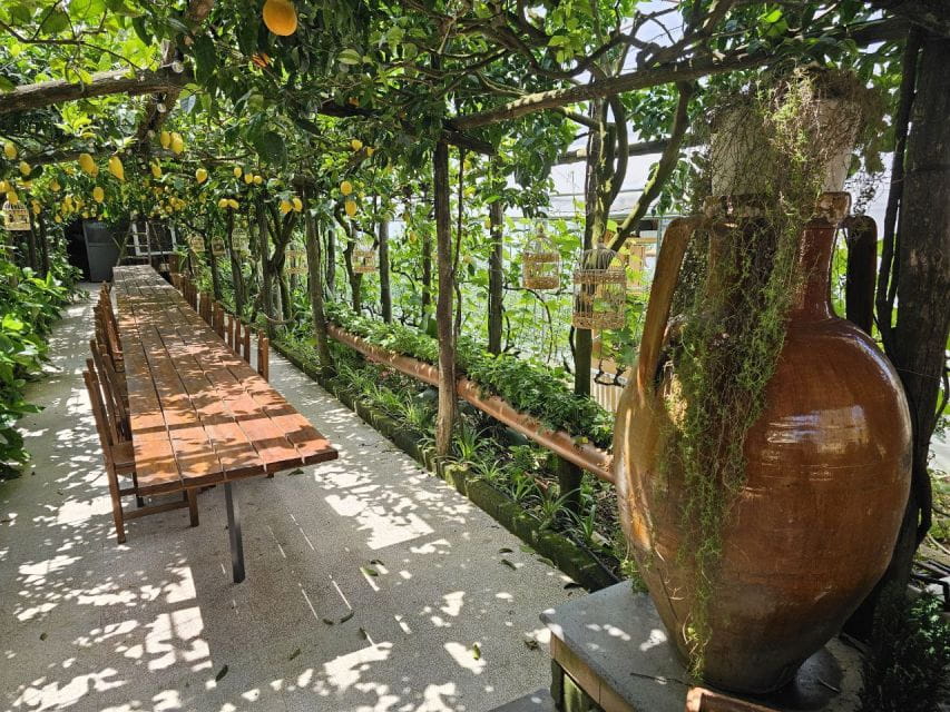 Sorrento Coast: E-Bike & Cooking Experience - Practical Details and Logistics