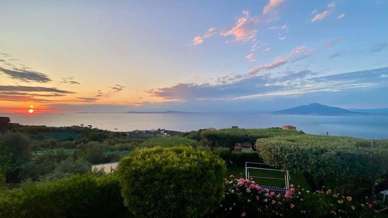 Sorrento: Cooking Class under the Lemon Trees - Key points / Takeaways