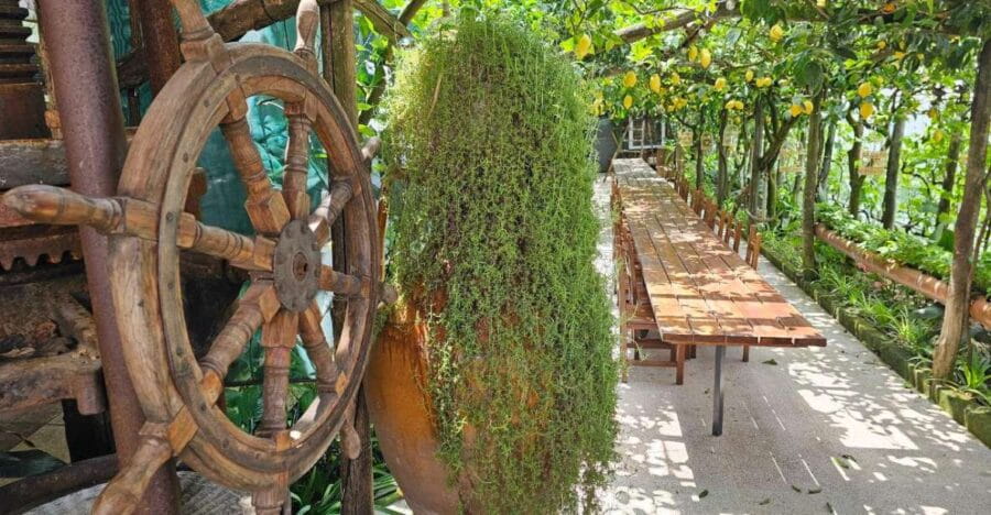 Sorrento: Food Tour by E-Bike and Visit at Vinegar Cellar - Who Will Love This Tour?