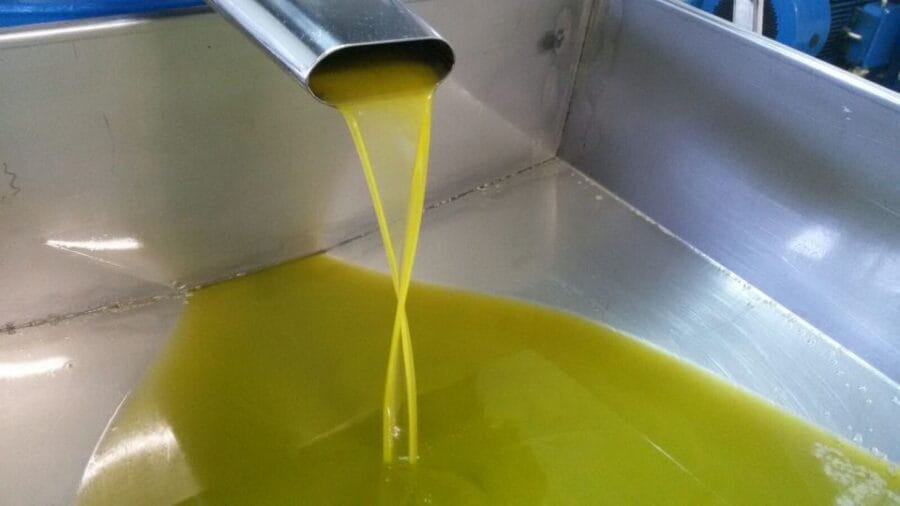 Sorrento: Lemon, Olive Oil and Wine Tasting Tour with Lunch - Entering the Heart of Sorrento’s Farming Traditions