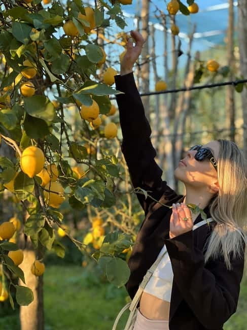 Sorrento: Lemon Picking & Tasting Tour - Tasting the Fruits of the Land