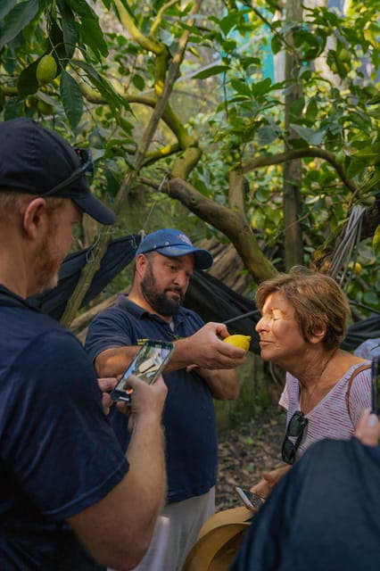 Sorrento: Lemons grove, Farm Tour&Tasting and Pizza Class - The Mozzarella Show and Farm Tasting: A Taste of Tradition