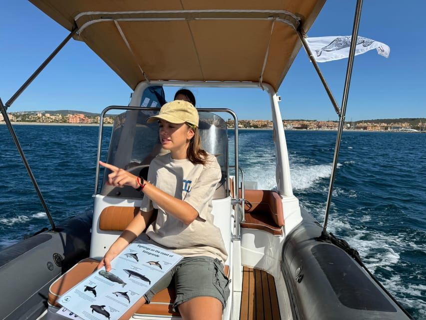 Sotogrande: Dolphin watching experience with expert crew - Who Will Love This Experience?