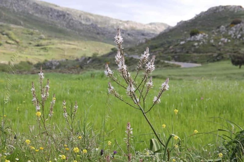 South Crete: Nature Tour to Scenic Villages, Gorges, Lakes - Practical Details & Tips for Making the Most of This Tour