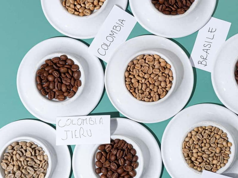 Specialty Coffee Workshop & Tasting Experience in Rome - Price and Logistics: Does It Offer Good Value?