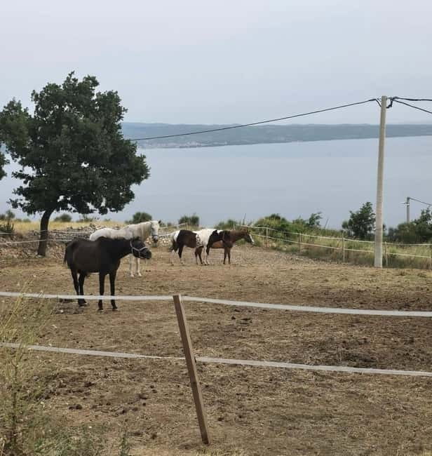 SPLIT: Guided ATV Tour Gornja Podstrana & Horses - The Mountain Trails and Island Views